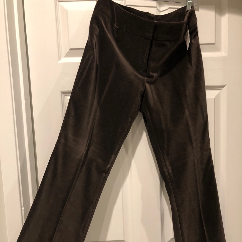 NWT velvet pants Calvin Kline size 8